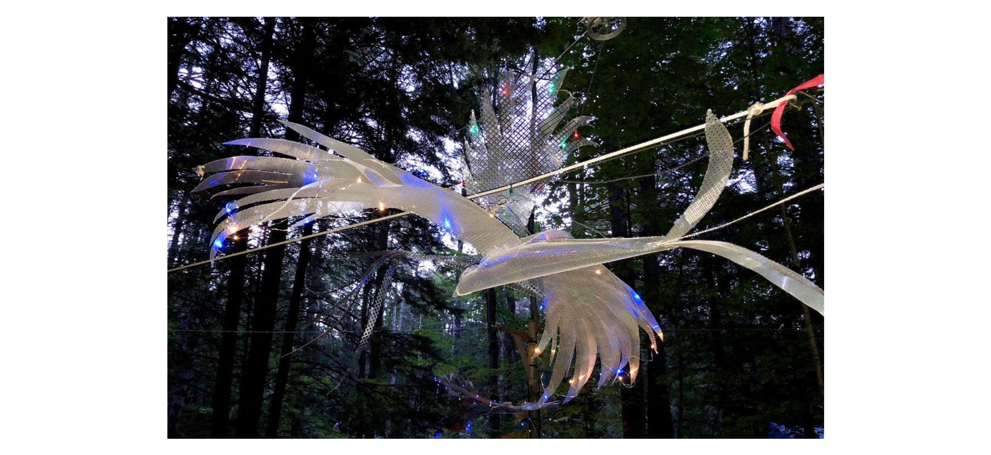 Quetzal Art
