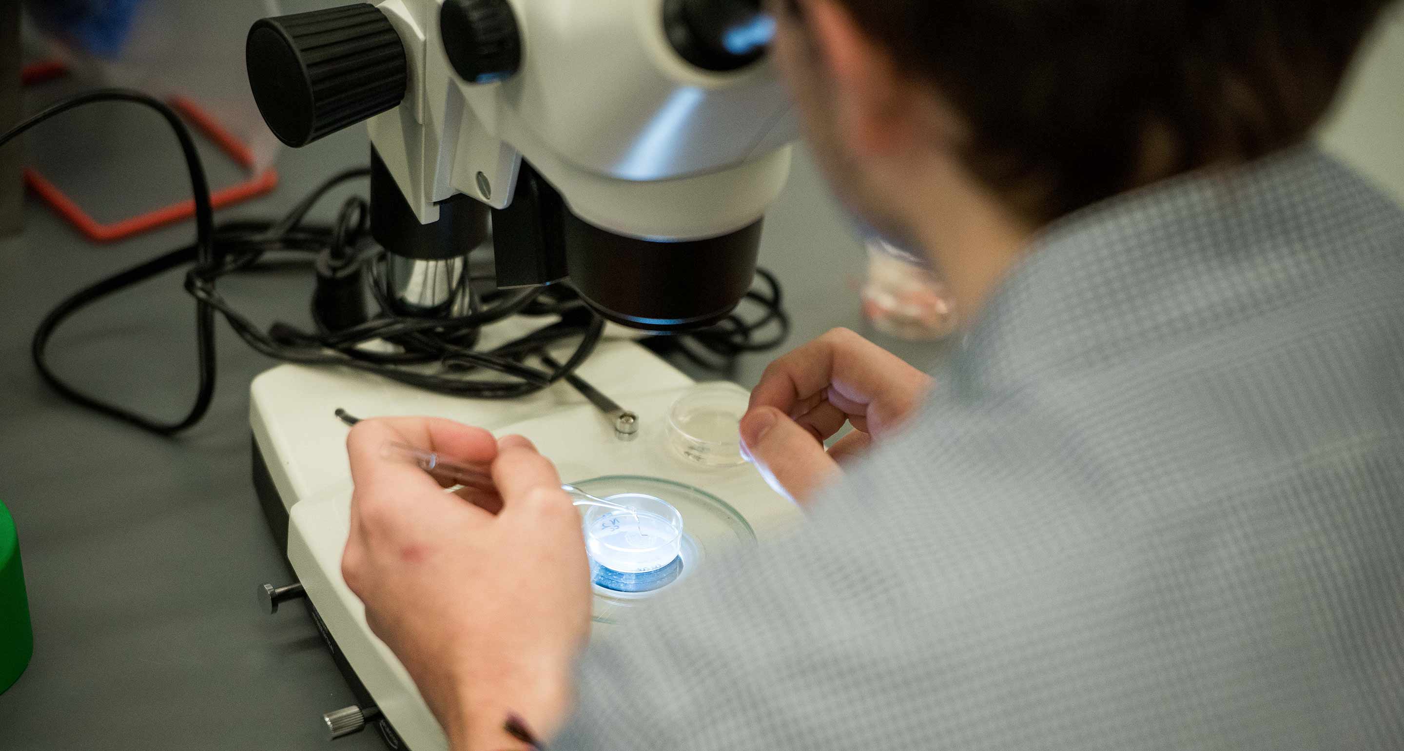 Biotechnology and Molecular Biology Assumption University