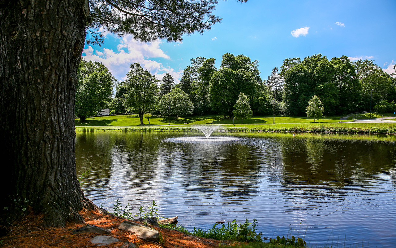 pond