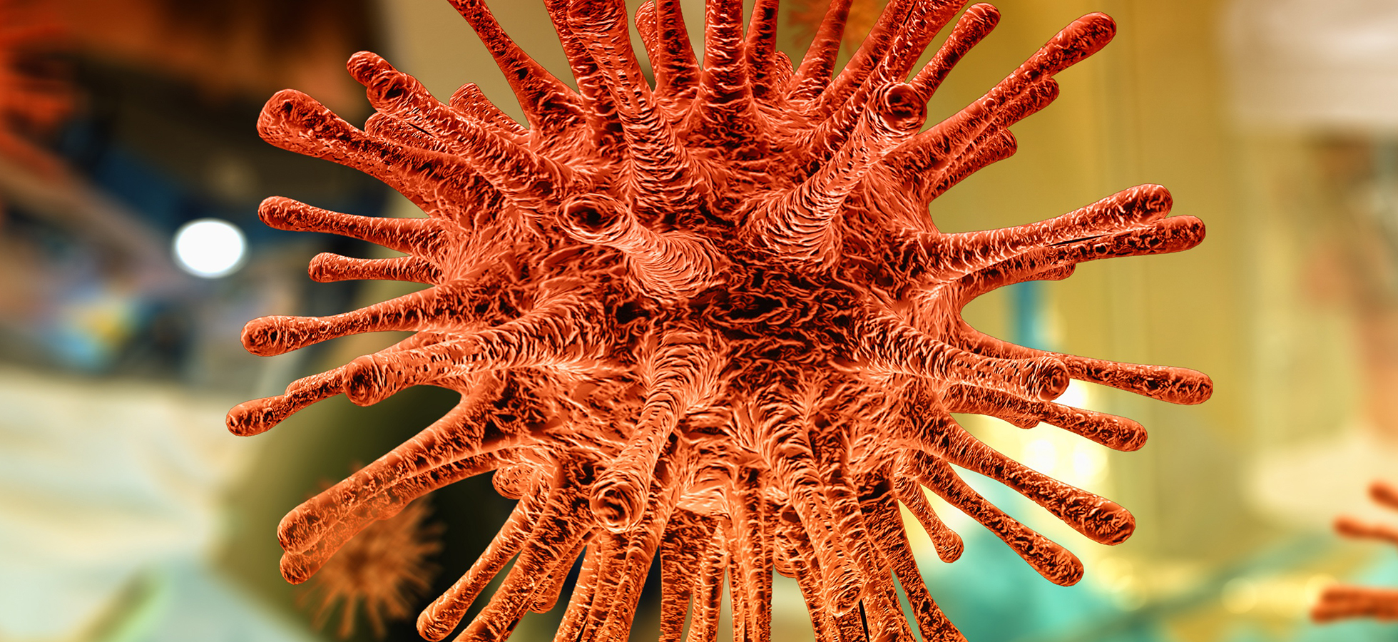 An image of a COVID-19, or coronavirus, cell under a microscope. Assumption College Professor of Economics and Global Studies Smriti Rao, Ph.D., writes that women have a higher risk of exposure to coronavirus.