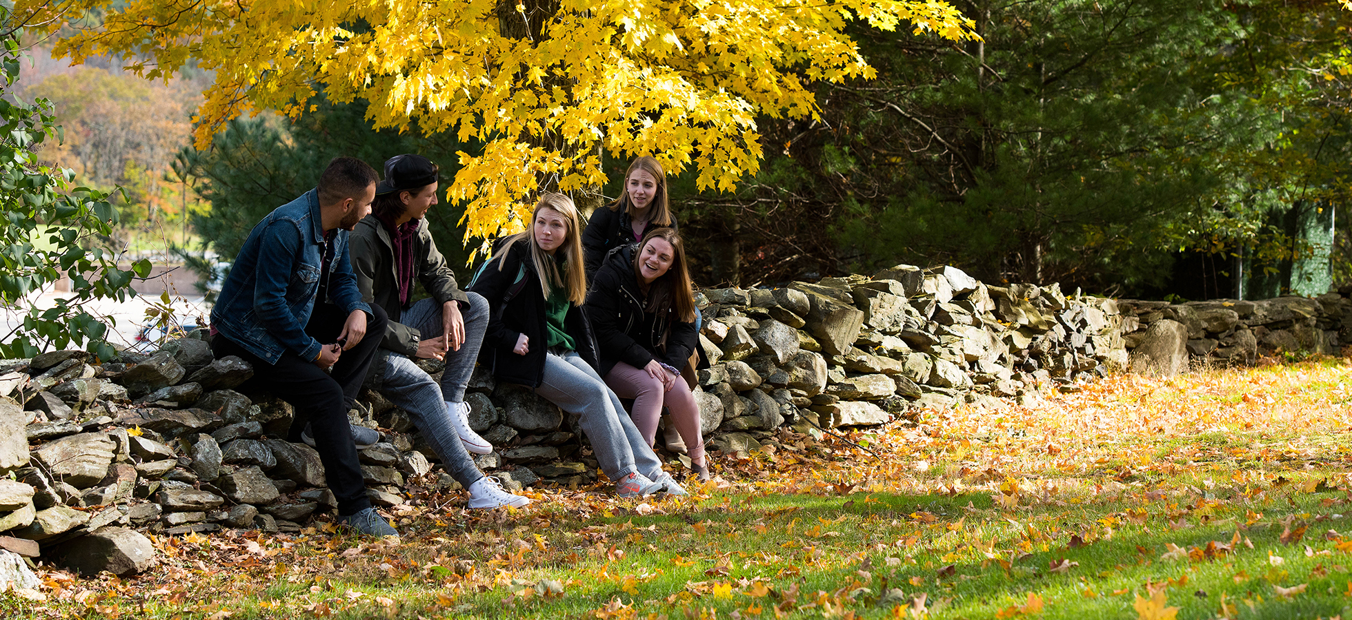 Assumption students surrounded by yellow foliage sitting on a rock wall on campus in Worcester, Massachusetts..