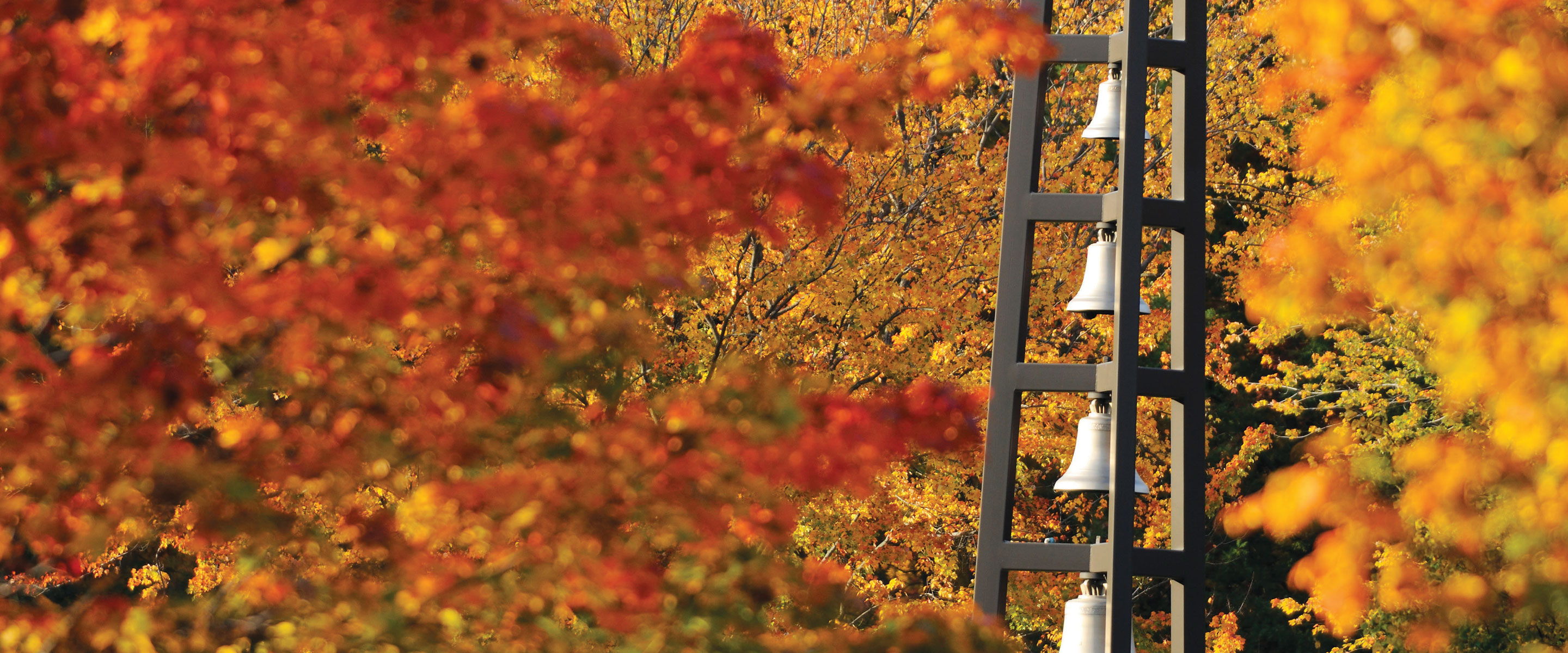 Campus Bells and Foliage