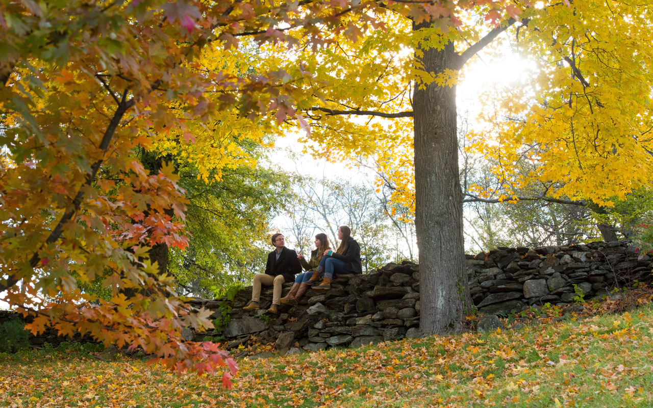 Students outside sitting among the foliage