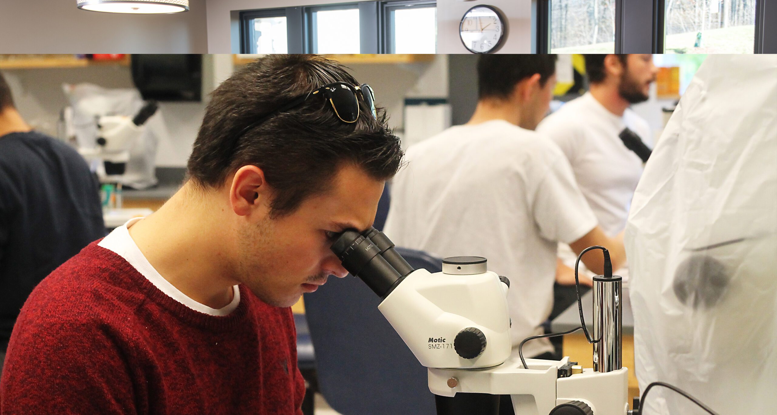 Assumption College students conducts research in one of the labs in the Testa Science Center.