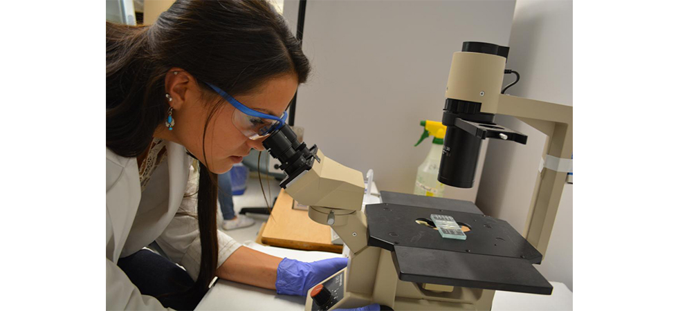Assumption Students Partner with Science Faculty on Laboratory Research