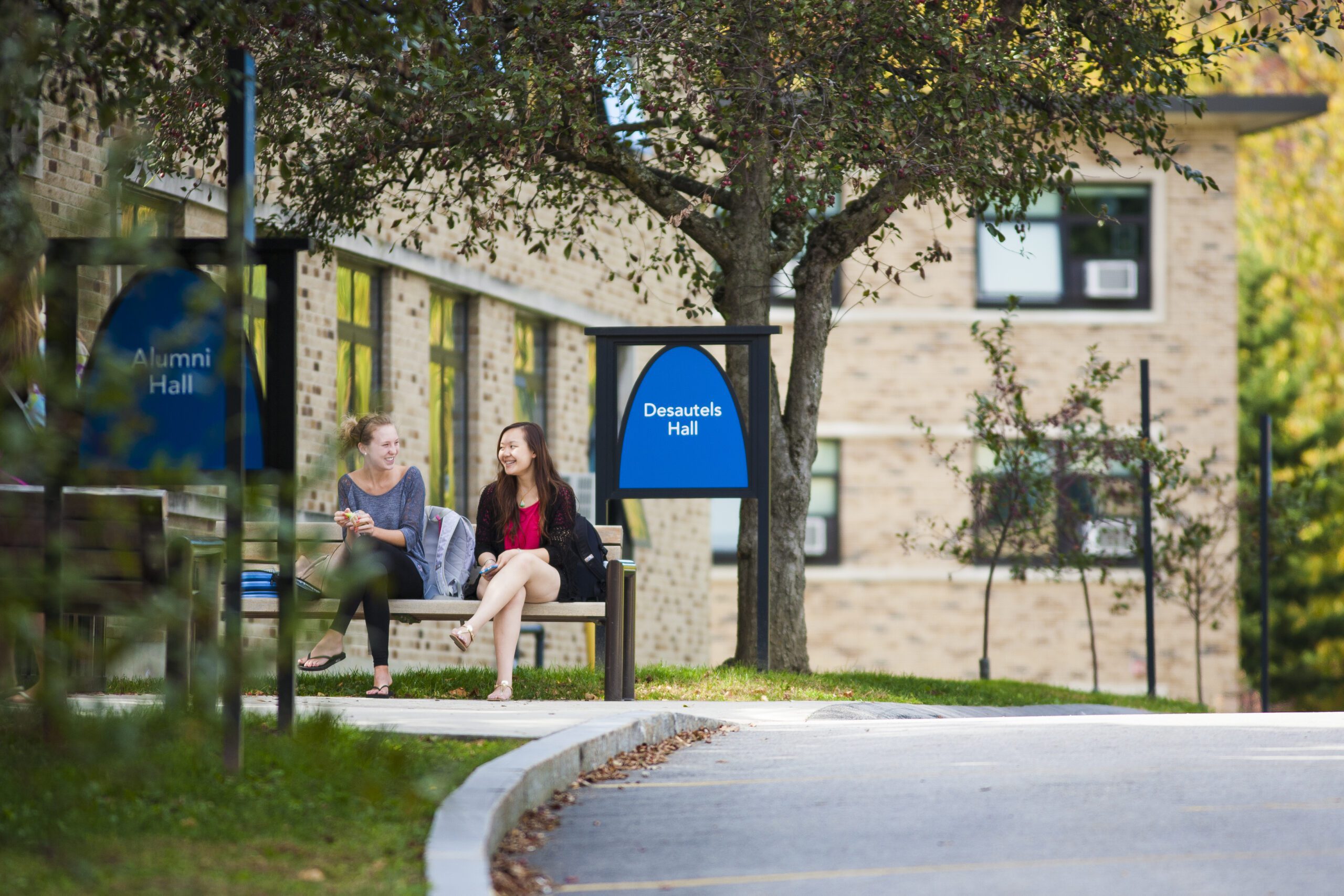 Students sitting outside studying during summer semester.