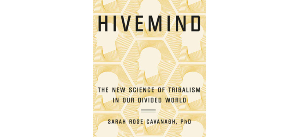Prof. Cavanagh Examines Online Tribalism in New Book