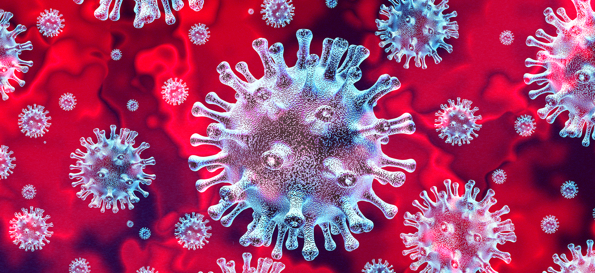 A microscopic view of a coronavirus cell.