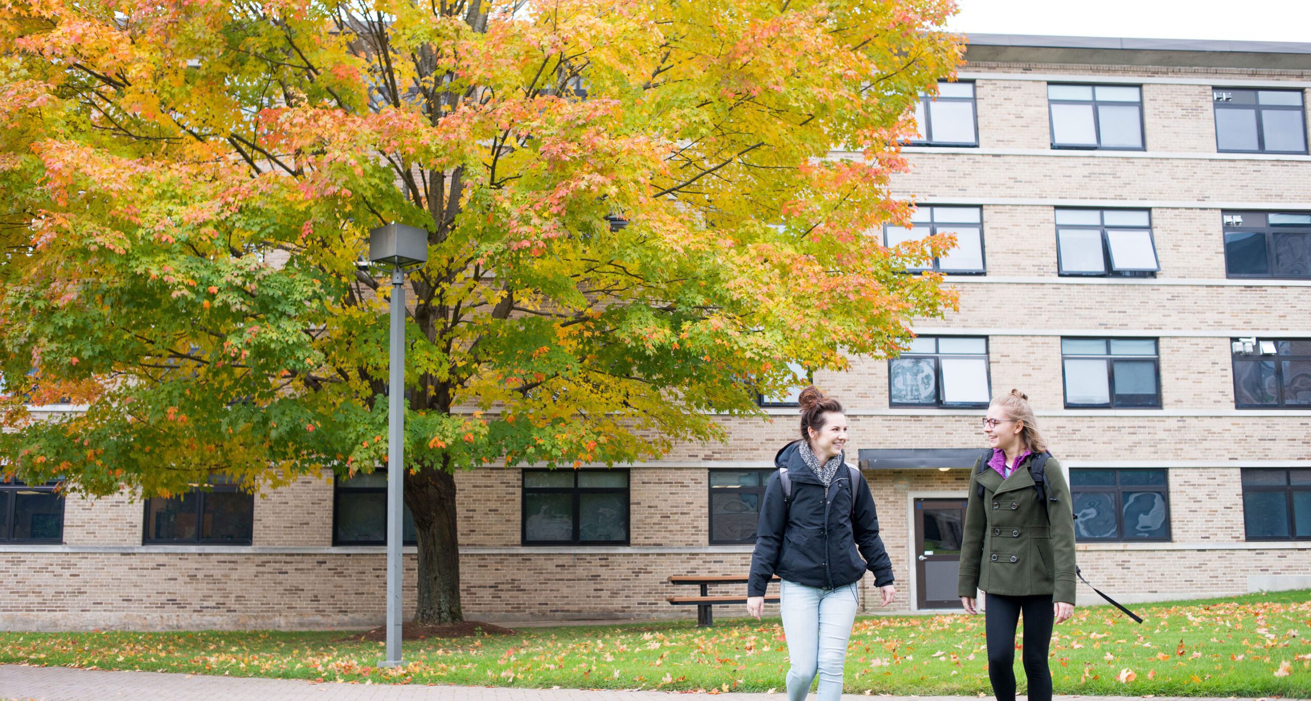 Students on campus