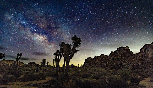 Joshua Tree National Park at night