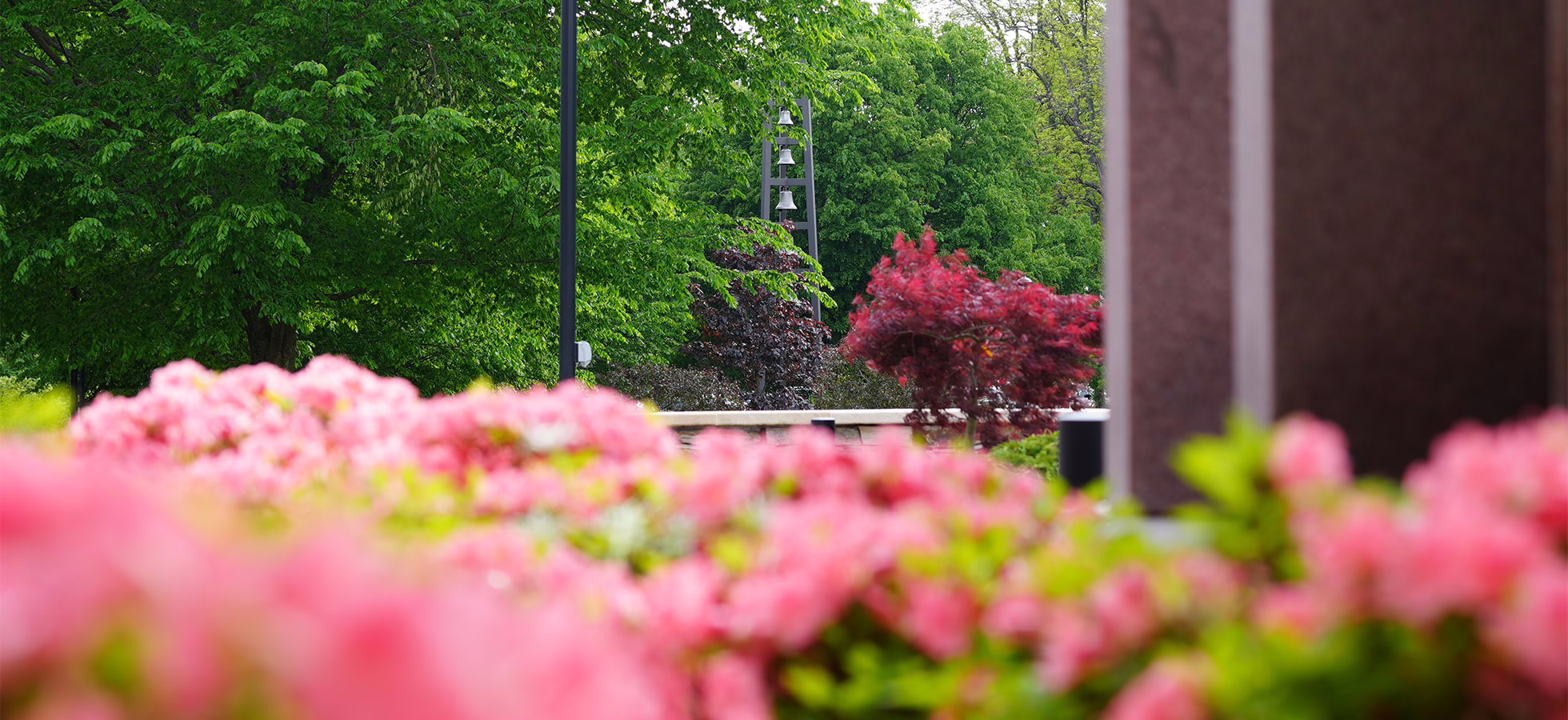 Clinical Counseling Psychology Program Receives National Distinction