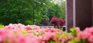 Assumption Students Recognized for Academic Excellence with the Spring 2026 Dean's List