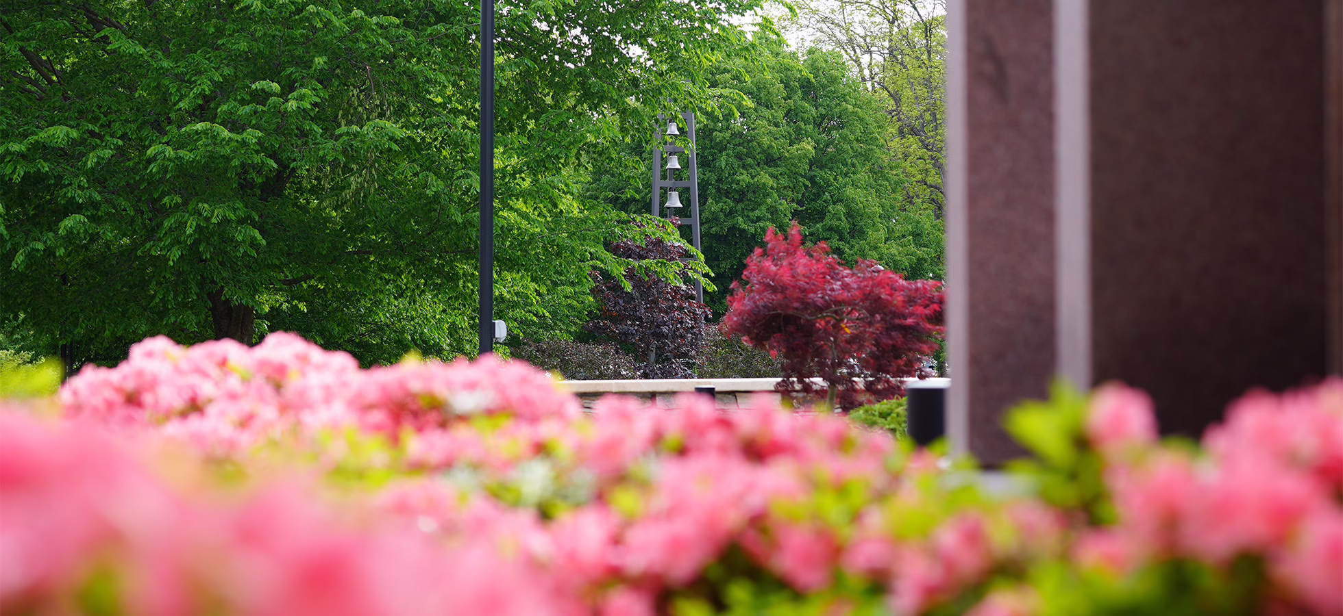 Assumption Students Recognized for Academic Excellence with the Spring 2026 Dean's List